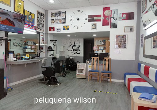 Peluqueria Barberia «Wilson» – Zaragoza