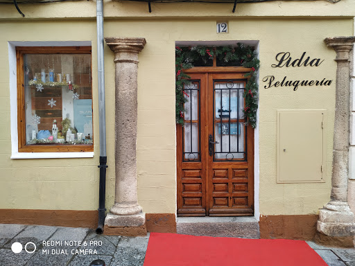 Peluqueria Lidia en Lerma