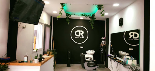 Daniel Reyes Peluquería Masculina – Villarrasa