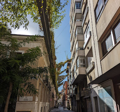 María Luisa Sicilia Peluquerías – Valladolid