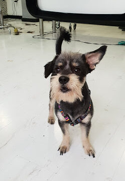 Tanito Peluqueros Unisex – Almería