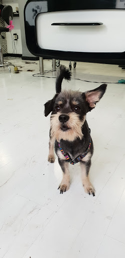 Tanito Peluqueros Unisex en Almería