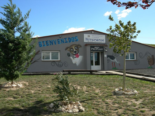 Residencia Canina Riverarce en Rodezno