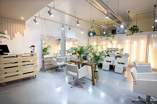 Peluquería «Satsuma» – Vitoria-Gasteiz