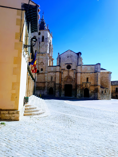 Peluquería Unisex Belly Estética en Torrelaguna