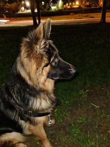 Peluquería Canina Ainara en Burlada