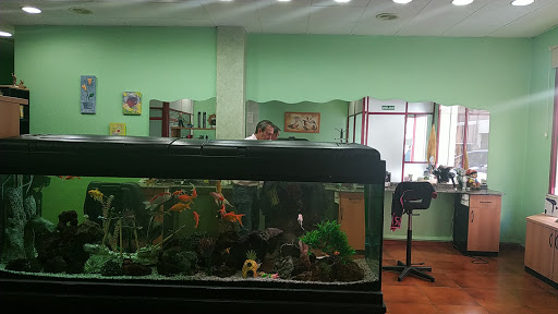 Nuevo Estilo – Peluquería – – Teruel