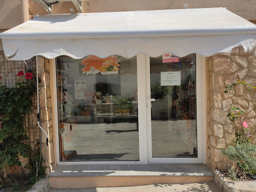 Perruqueria Canina Esther en Llançà