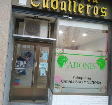 Adonis Peluquería Unisex – Burgos