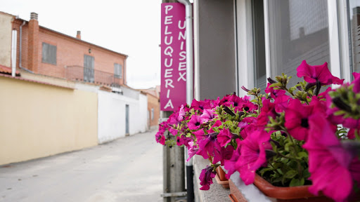 Peluqueria Raquel Tabarés – Paradinas de San Juan