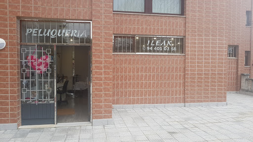 Peluquería Artaza Ileak – Leioa