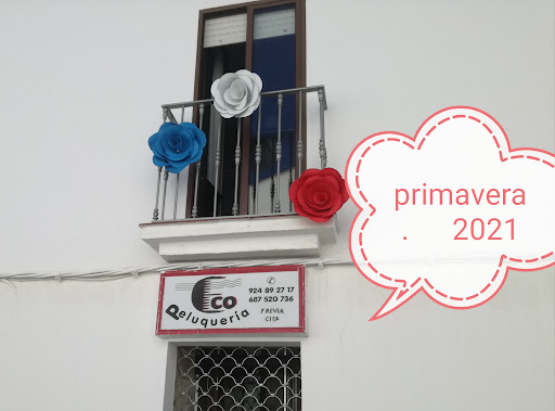 Eco Peluquería en Azuaga