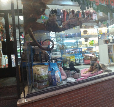 Peluquería canina Baguira – Soria