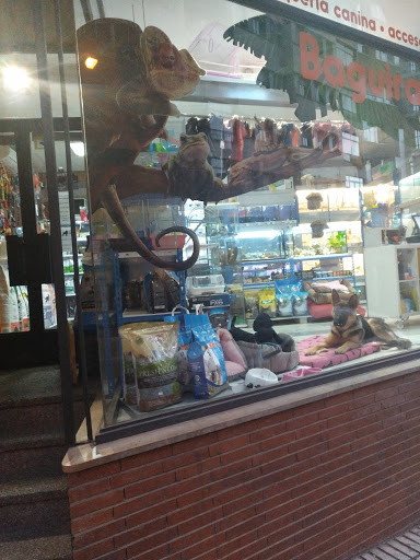 Peluquería canina Baguira en Soria