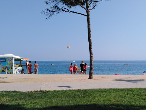NEW CONCEPT en Pineda de Mar