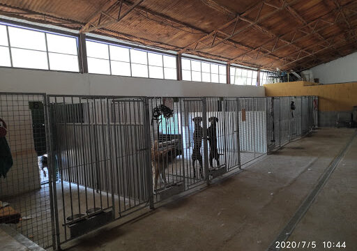 Residencia Canina y centro de ocio Alanos de Toletum – Novés