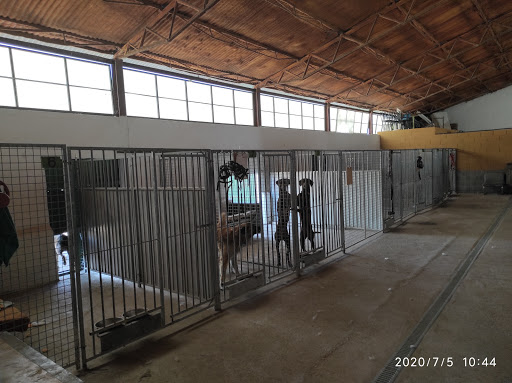 Residencia Canina y centro de ocio Alanos de Toletum en Novés