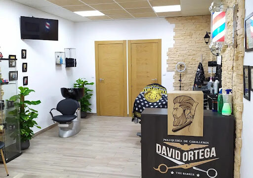 Peluqueria De Caballeros David Ortega Estilista – Maracena
