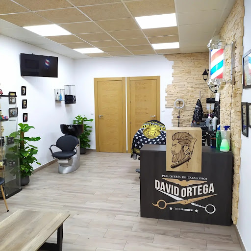 Peluqueria De Caballeros David Ortega Estilista en Maracena