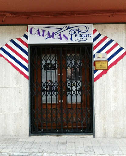 Catalán Peluquero en Almansa
