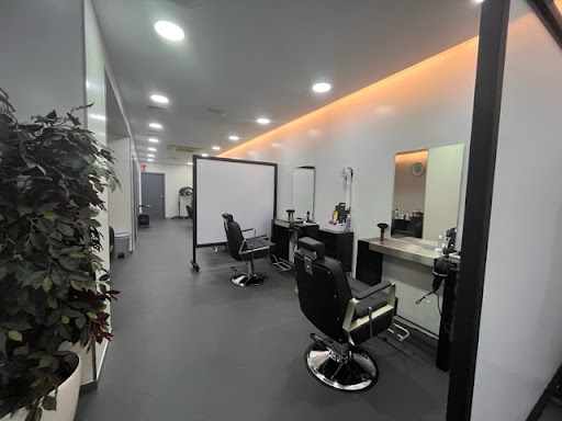 TENDÈNCIES: PERRUQUERIA UNISEX I TRACTAMENTS CAPIL·LARS en Sant Joan Despí