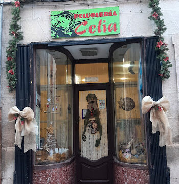 Peluquería Celia – Lerma