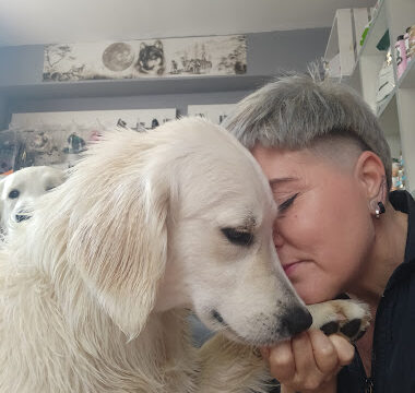Adela Zúñiga Peluquería canina – Hervás