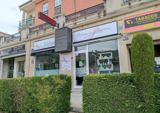Celara Peluquería y Estética – La Lastrilla