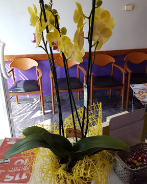 Perruqueria María Rosa – Bordils