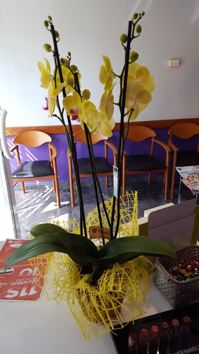 Perruqueria María Rosa en Bordils