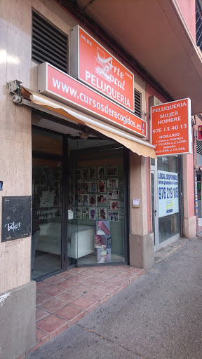 Arte Local en Zaragoza