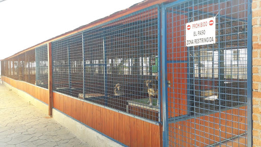 Residencia Rivendel – Fuentelahiguera de Albatages