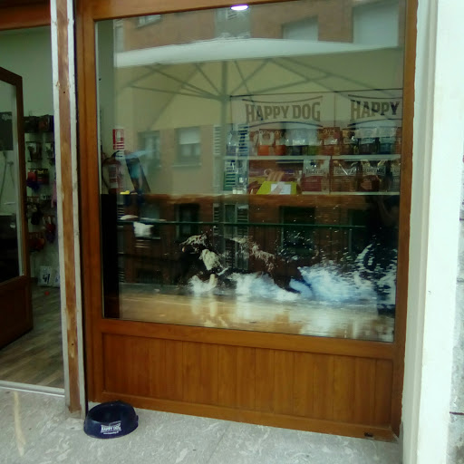 maskotak ortuella en Ortuella