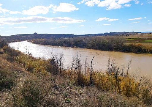 Cinco Olivas – Cinco Olivas