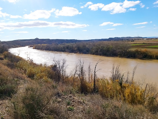 Cinco Olivas en Cinco Olivas