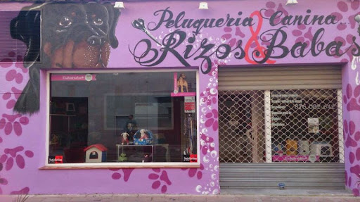 Rizos y Babas – La Puebla de Alfindén