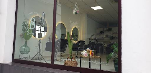 Salon Blooms en Guía de Isora