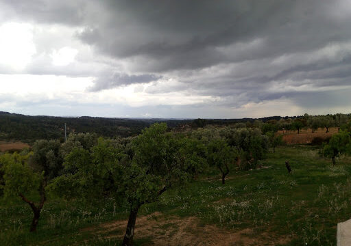 Josep Antoni Salvador Barberà – Cretas