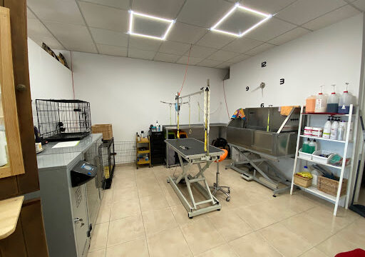 King Corte Peluqueria Canina y Felina – Es Castell