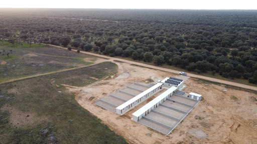 Mascoteka. Residencia canina. – Carrascal de Barregas