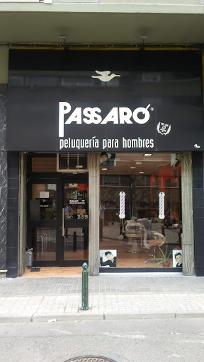 PASSARO PARQUE ROMA en Zaragoza