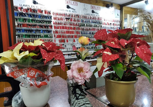Peluqueria – Valencia