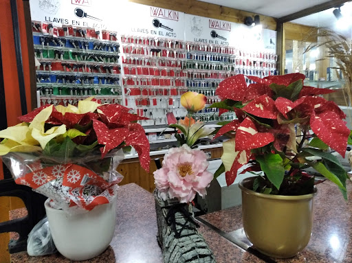 Peluqueria en Valencia
