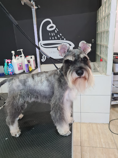 la Dutxeta en Manresa