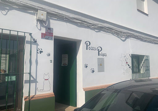 Pocas Pulgas – Almonte