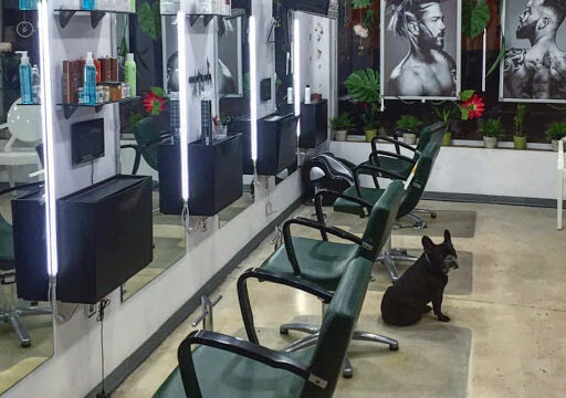Peluquería y Yo Con éstos Pelos – Valencia