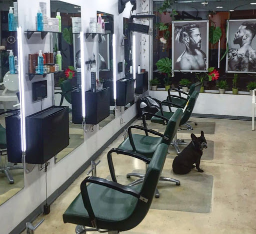 Peluquería y Yo Con éstos Pelos en Valencia