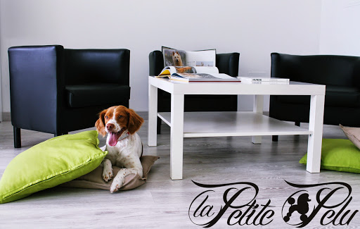 La Petite Pelu-Salón de Peluquería Canina y Spa en Guadalajara