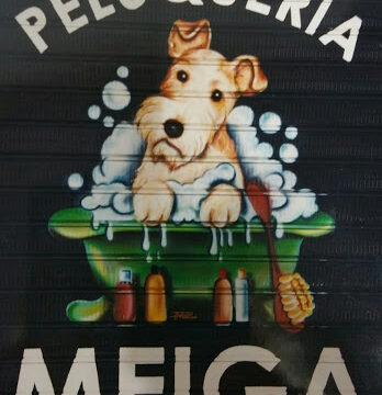 PELUQUERÍA CANINA MEIGA.-AMPARO CUADRADO CASAÑA – Moncada