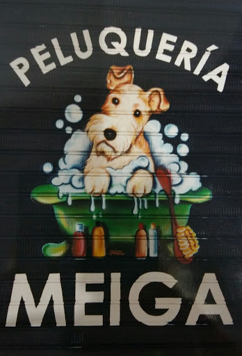PELUQUERÍA CANINA MEIGA.-AMPARO CUADRADO CASAÑA en Moncada